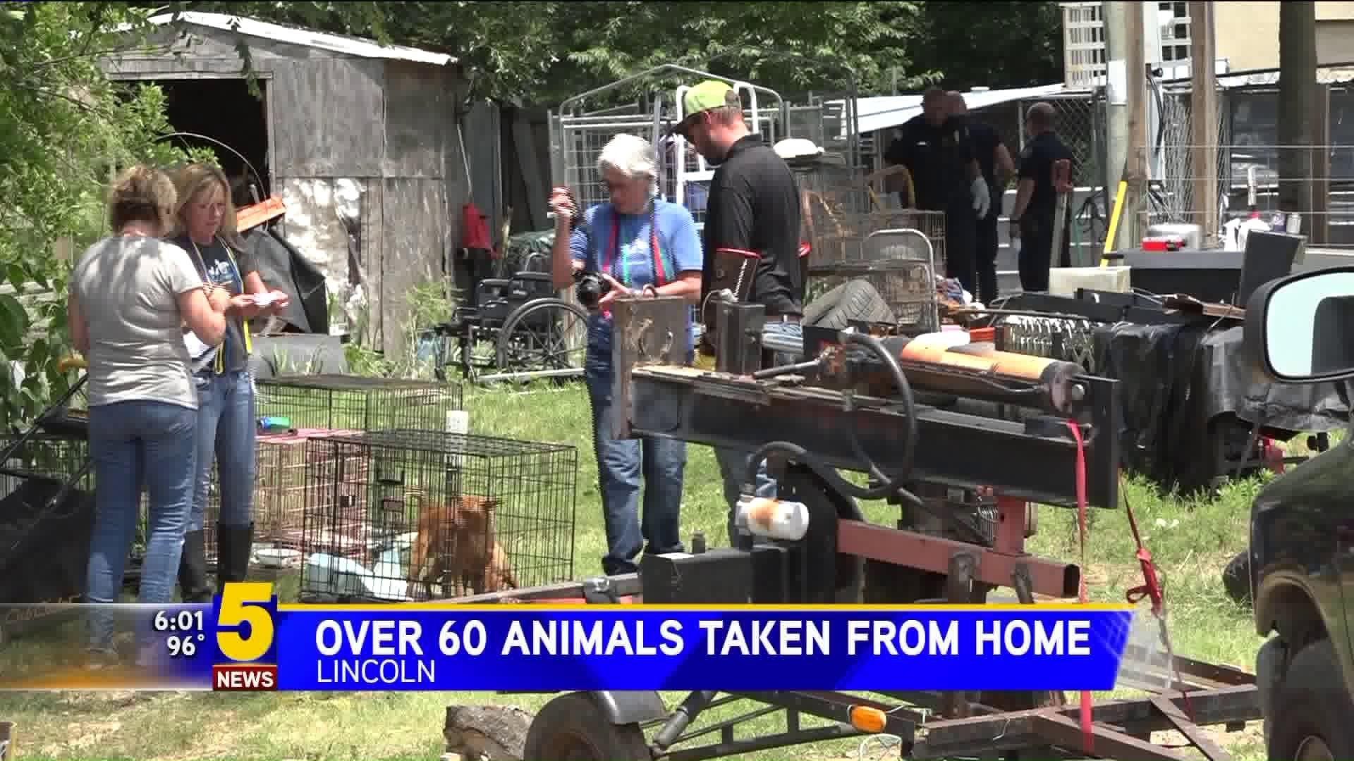 Over 60 Animals Taken From Home