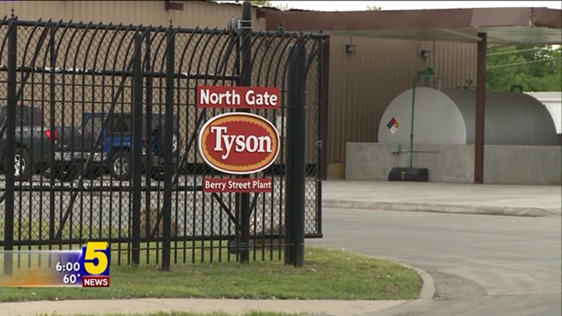 Tyson To Phase Out Human Antibiotics From U.S Broiler Chicken Flocks