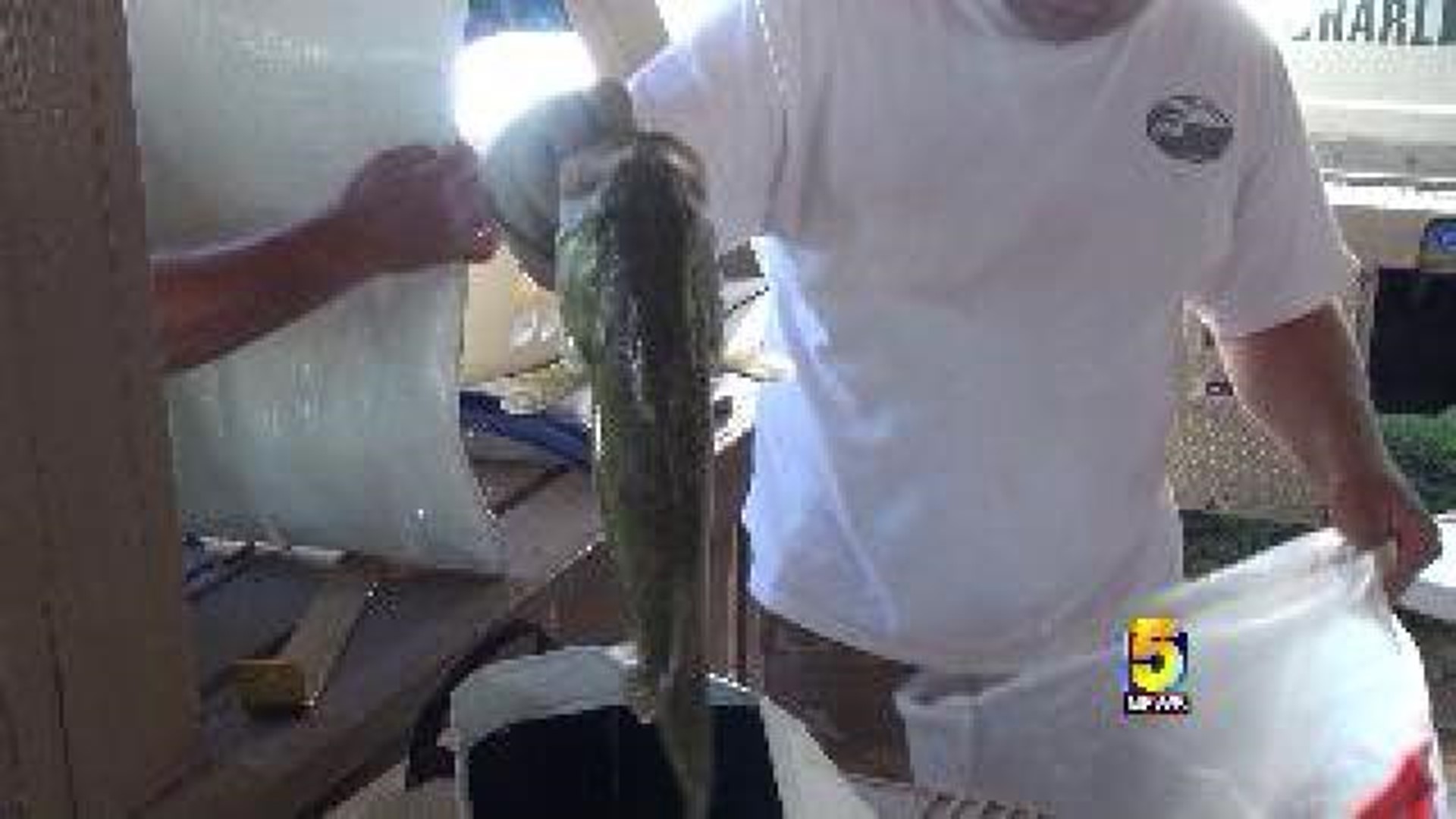 Amateur Fishermen Hoping To Catch Big Bass