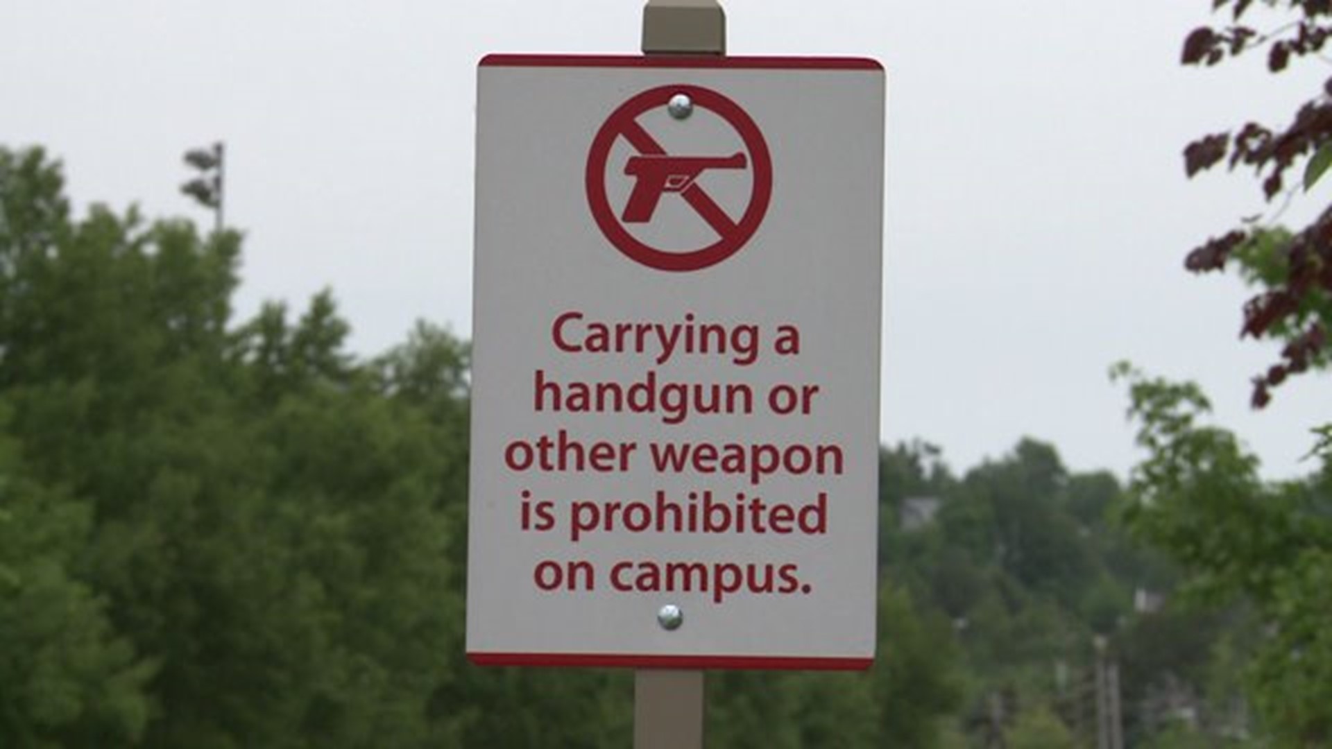 Guns on Campus Proposal