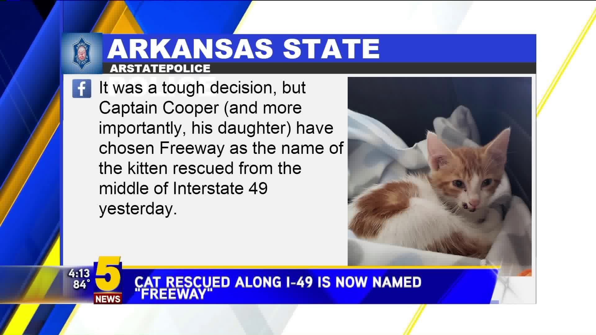 Cat Rescued By Troopers Along I-49 Has Been Named "Freeway"