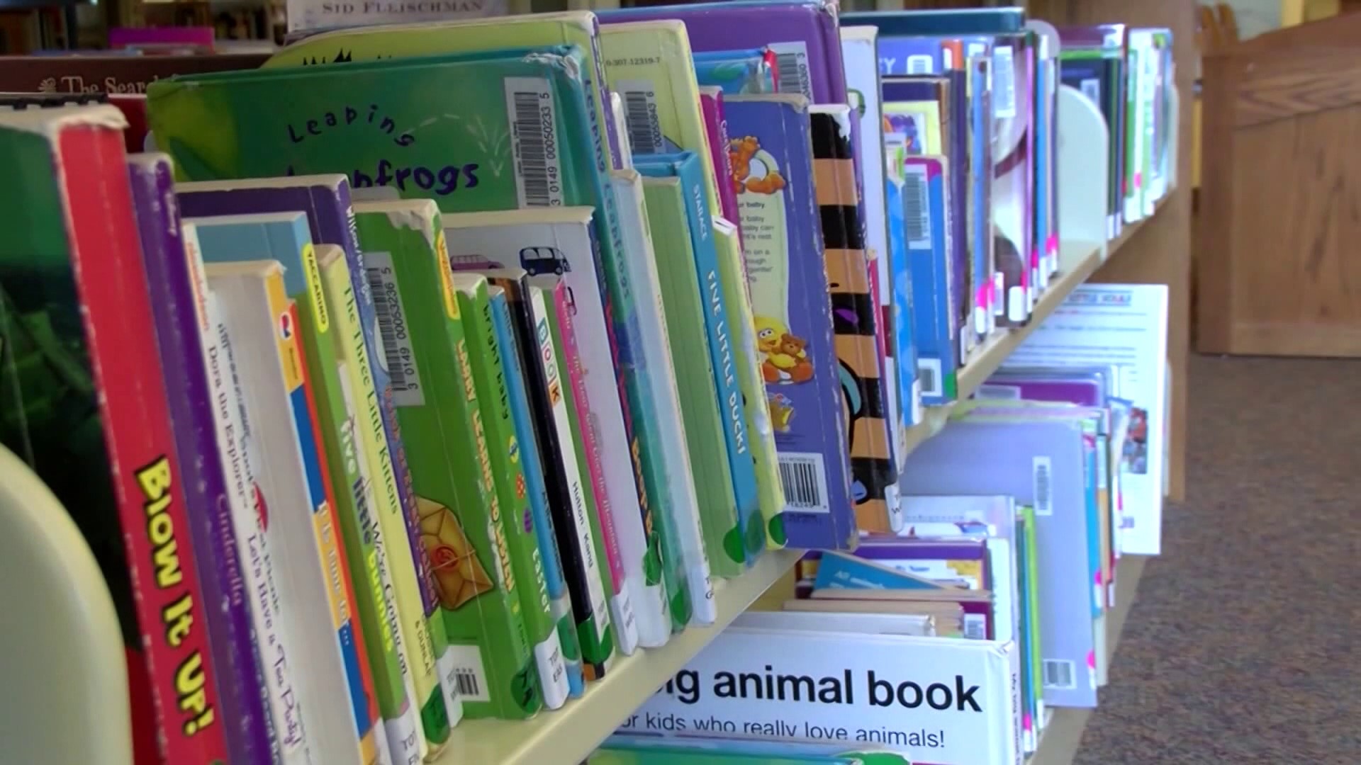 15 libros escritos para jóvenes, Washington County Cooperative Library  Services