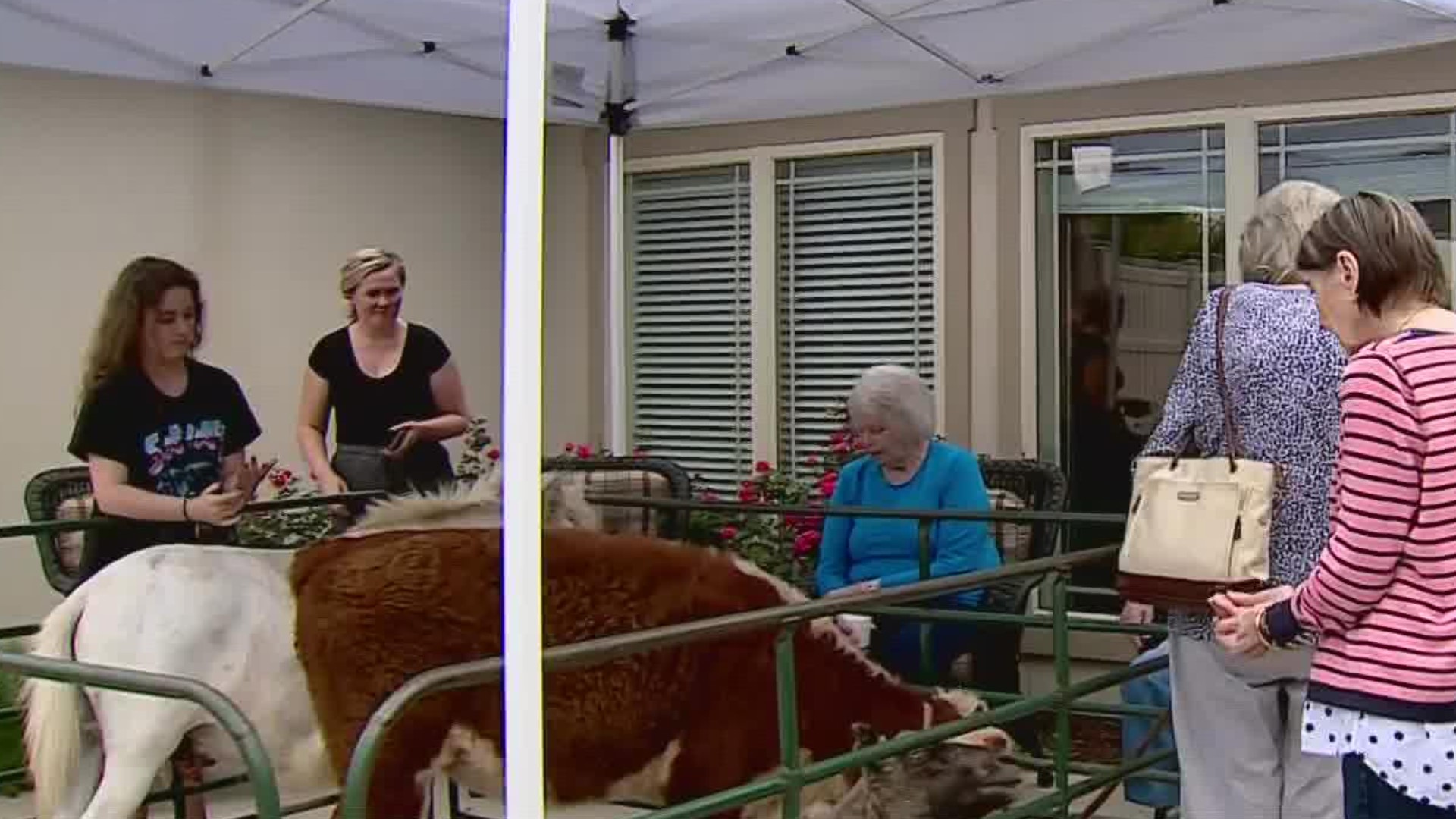 The Magnolia Place Assisted Living and Memory Care in Rogers held a "Farmyard Affair" and brought several barnyard animals for a petting zoo for residents.
