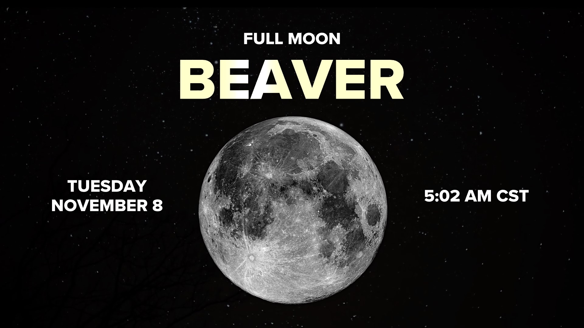 what-will-you-see-in-the-night-sky-this-november-5newsonline