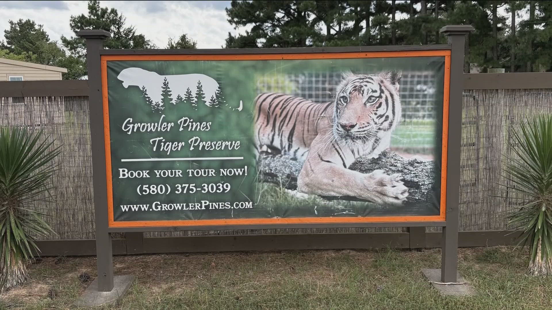 Tiger fatally attacks handler during big cat show in Oklahoma ...