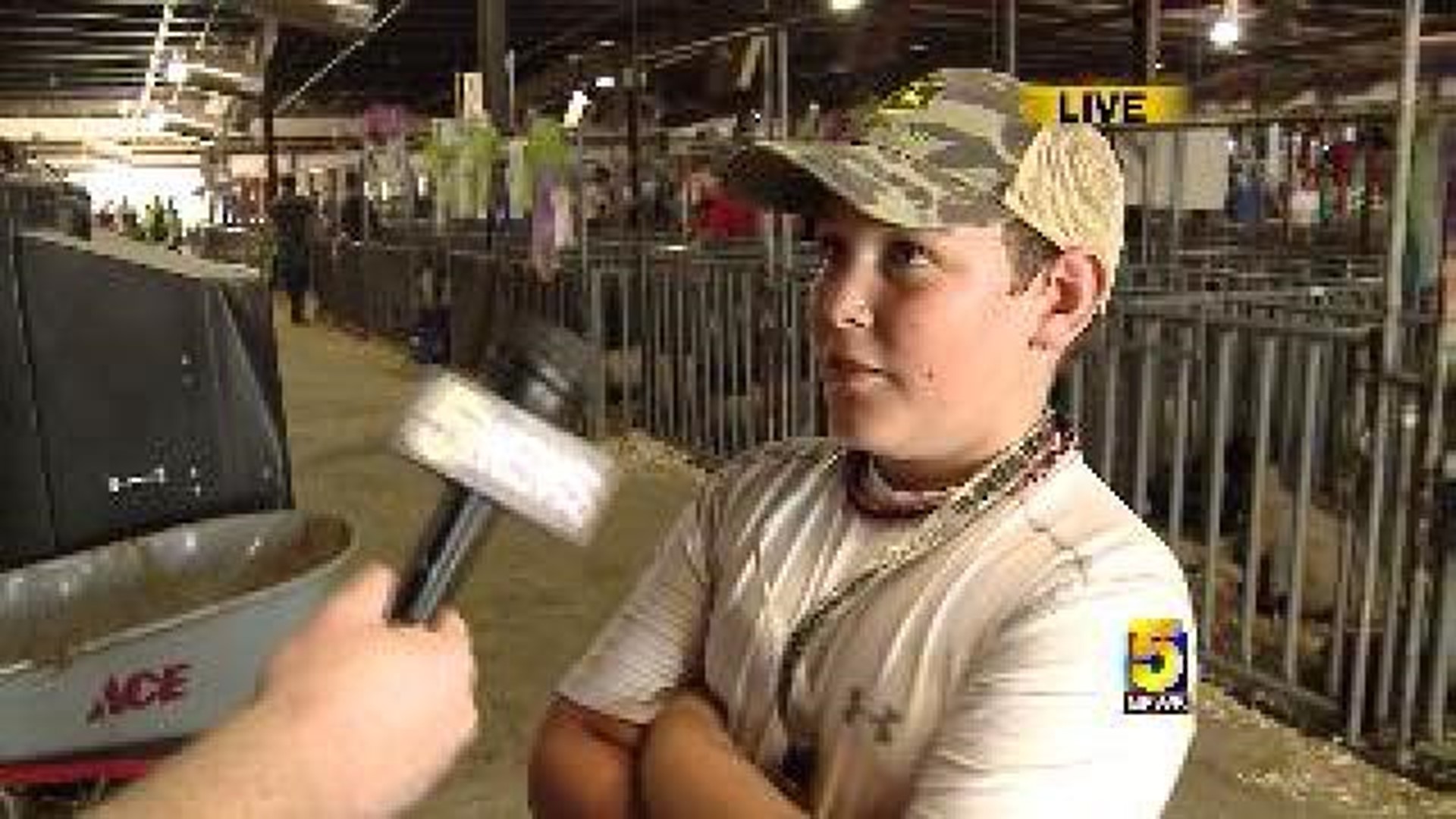 Interview: Wyatt