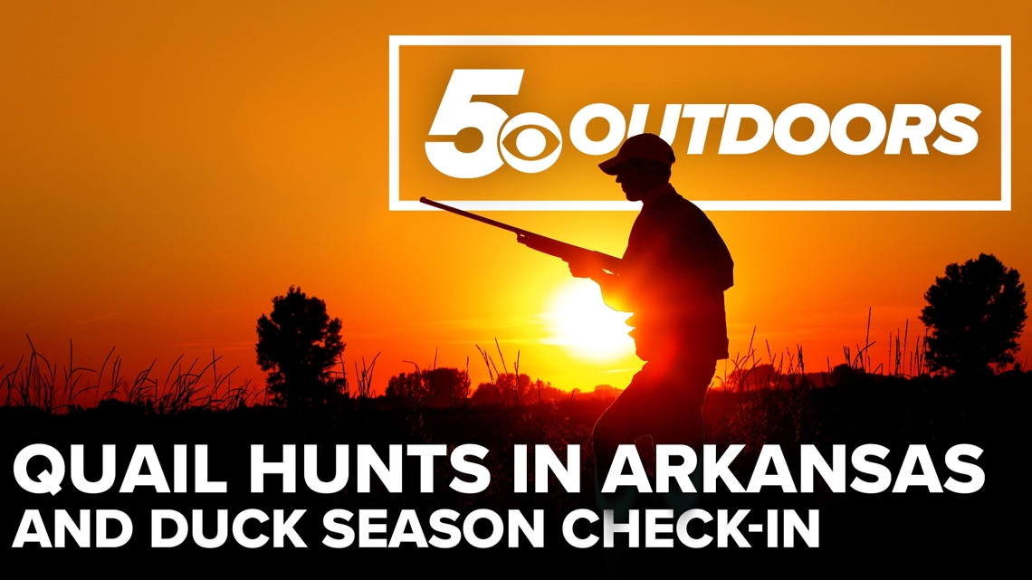 Growing quail opportunities in Arkansas, duck season checkin, and permit reminders | 5OUTDOORS