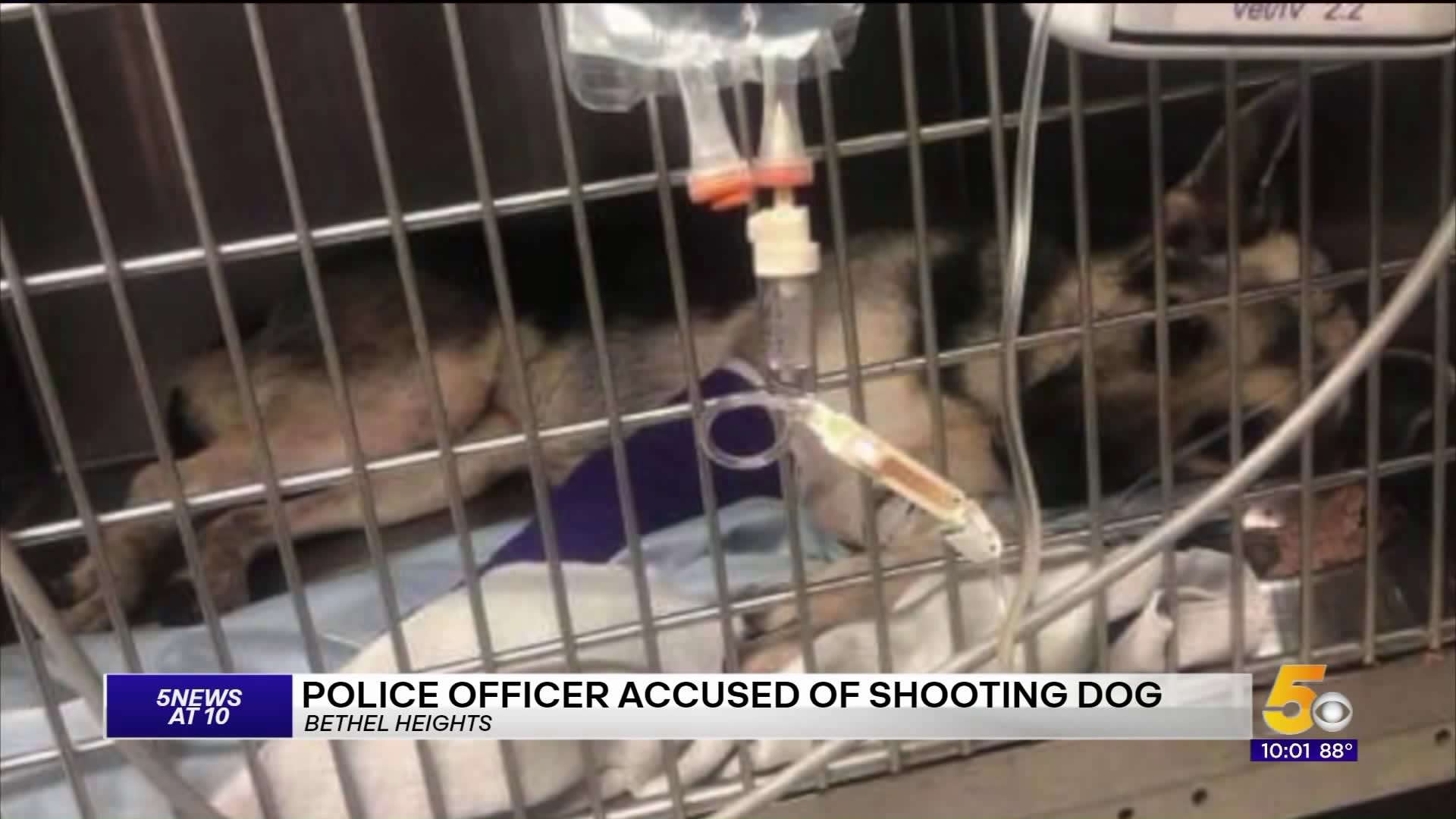 Police Officer Accused of Shooting Dog