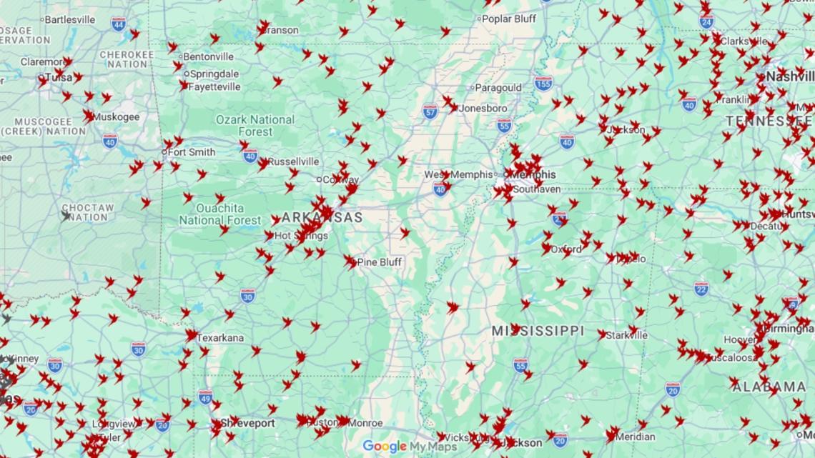 The Ruby-throated hummingbirds have arrived in Arkansas | What to know
