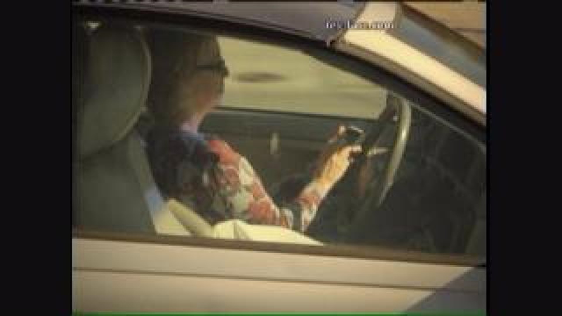 Driving Texters Caught on Camera, Website
