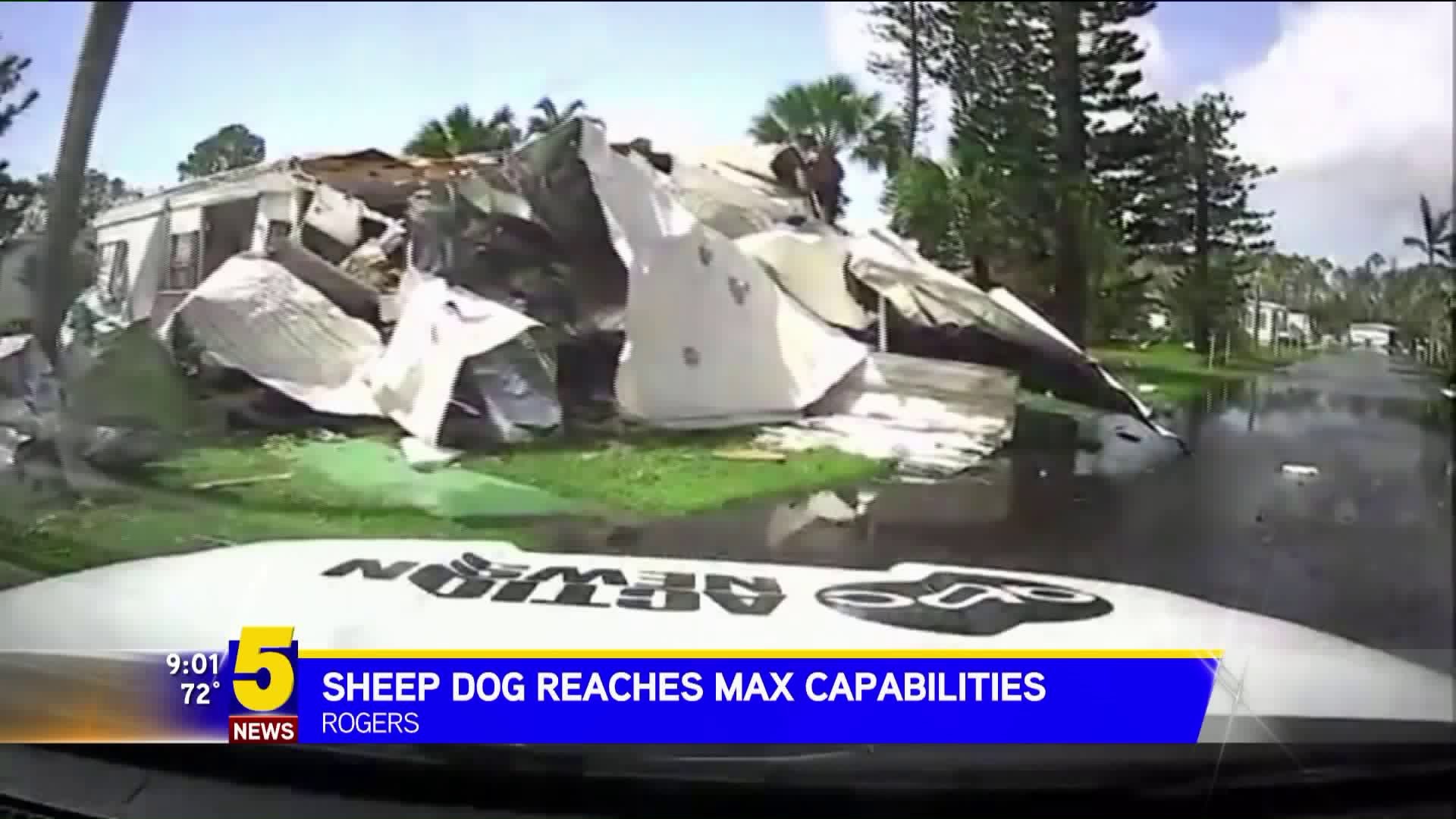 Sheep Dog Reaches Max Capabilities