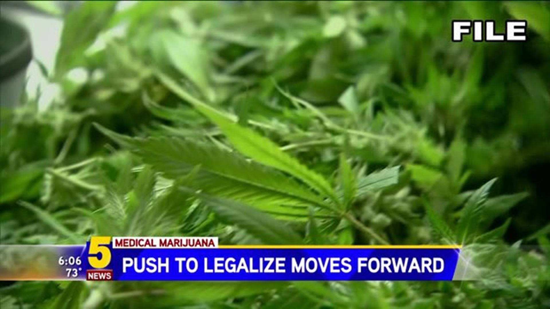 Medical Marijuana Push Moves Forward