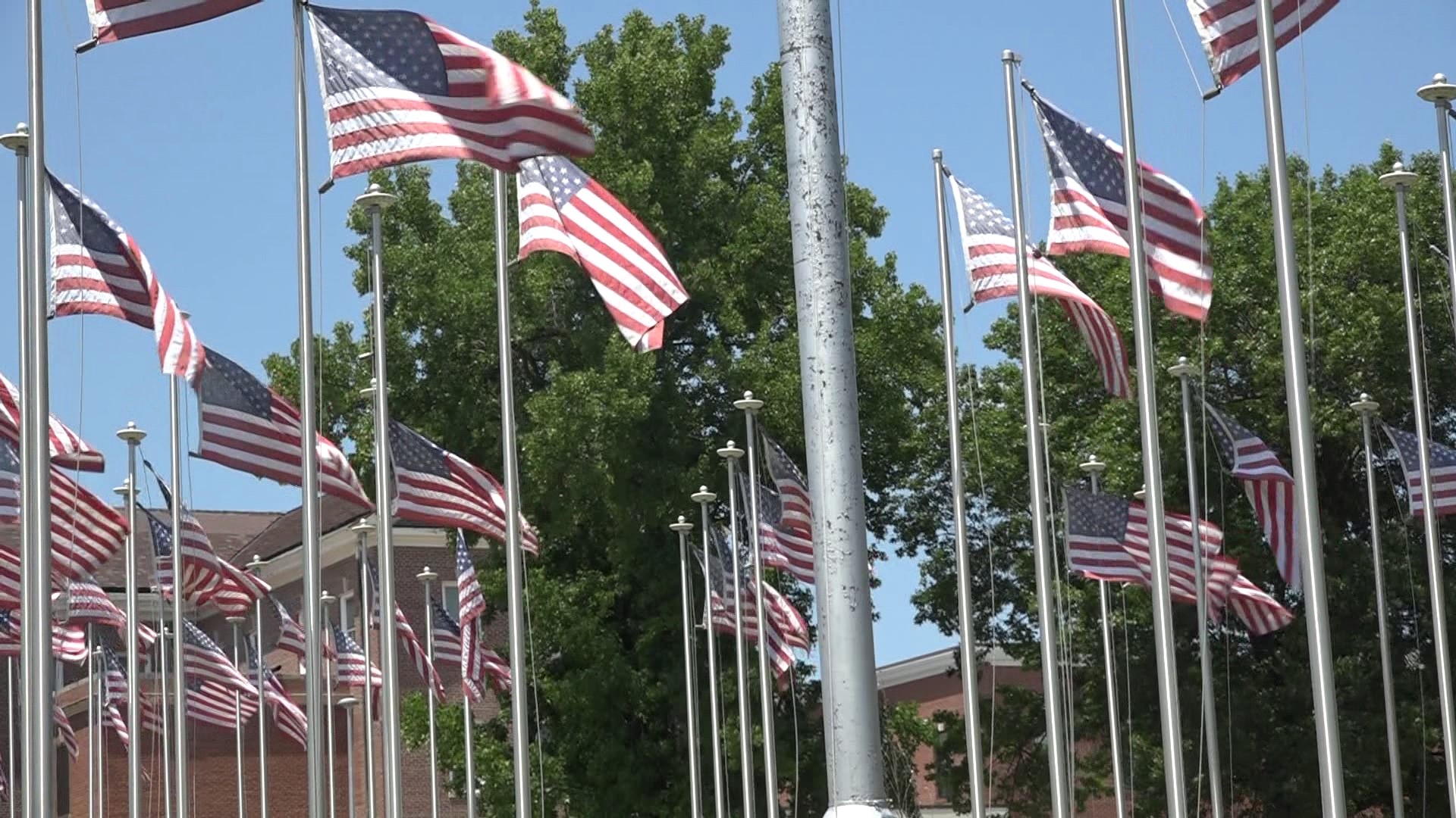 veterans-and-pets-face-increased-stress-on-the-fourth-of-july