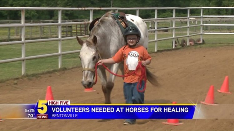 High Five Volunteers Needed At Horses For Healing 5newsonline Com