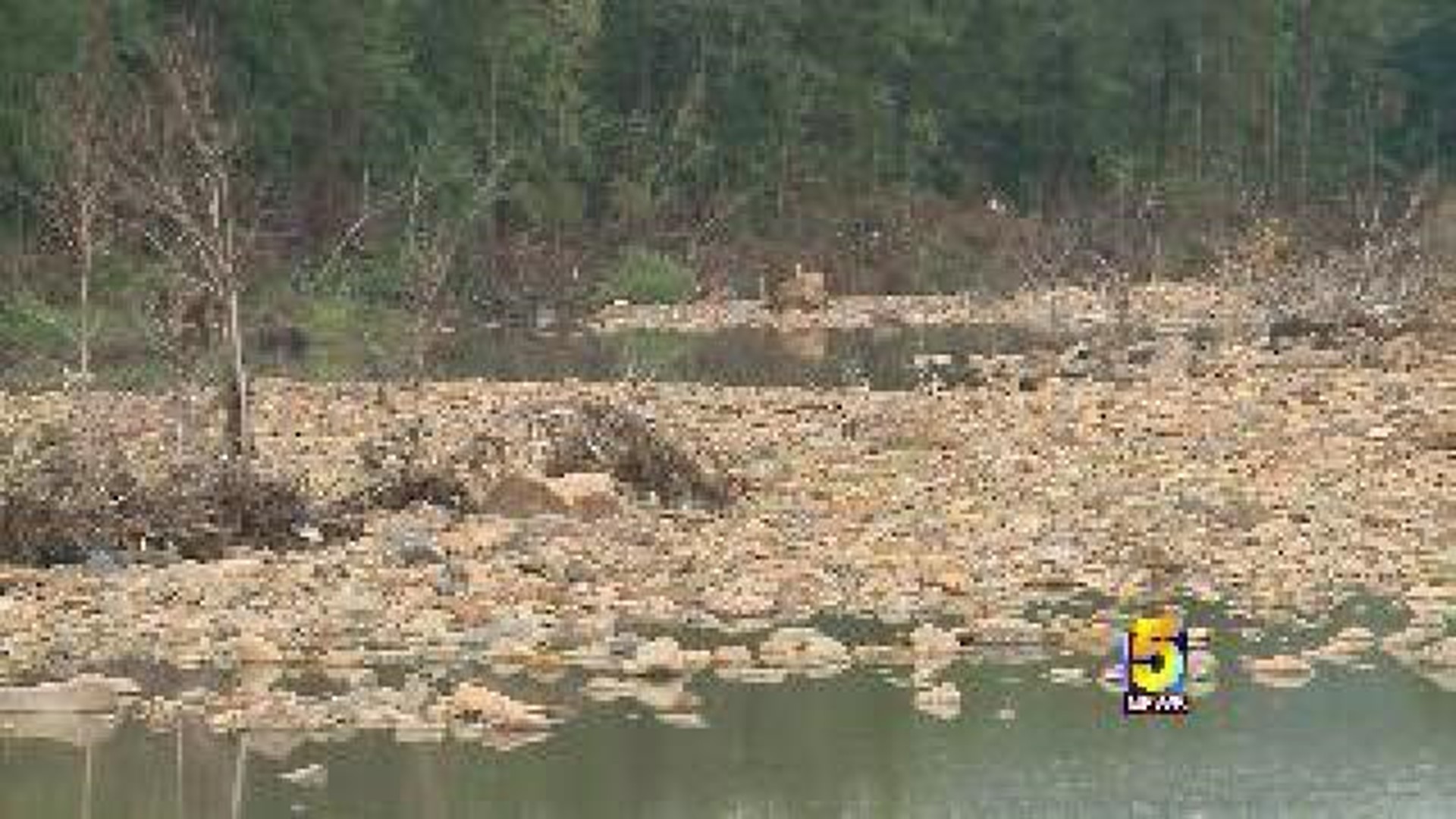 Recent Rains Cause Concern in Scott County