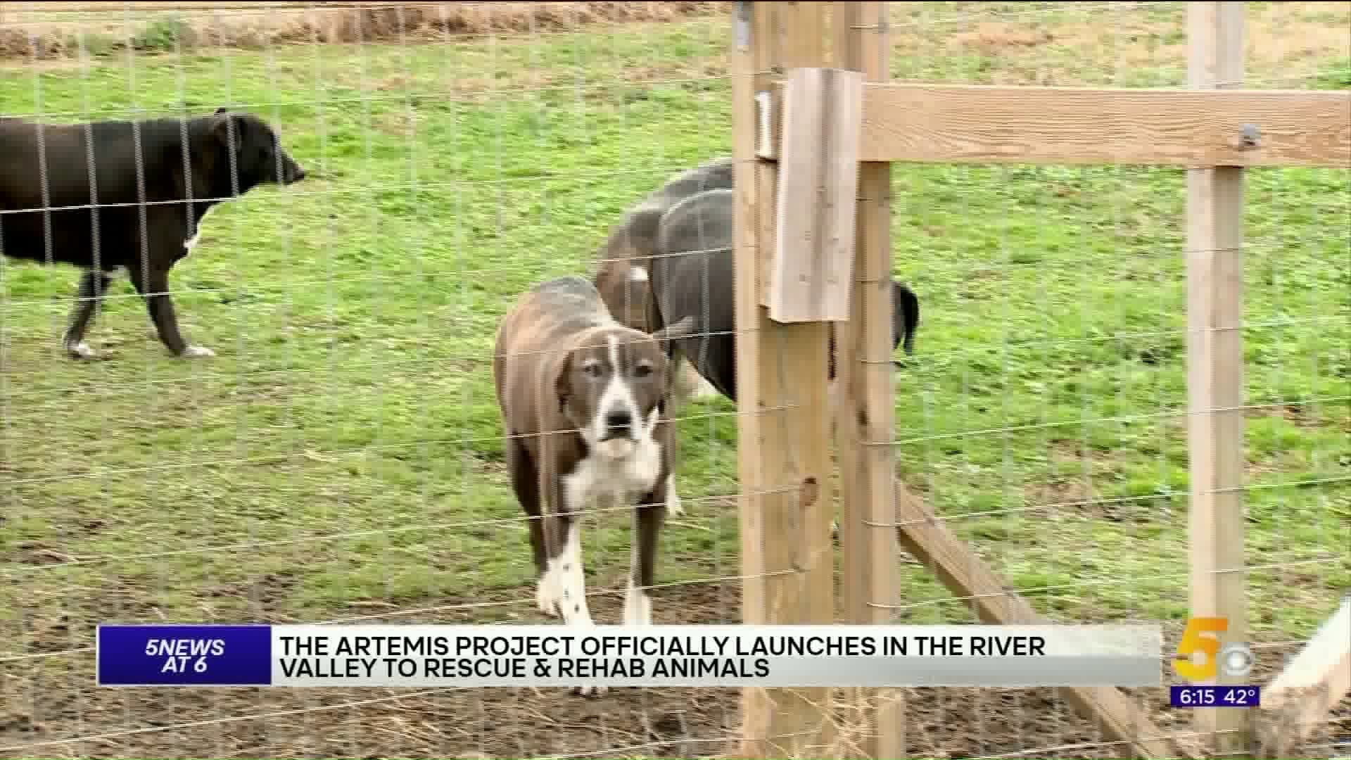Fort Smith Rescue Group Saving Animals In The River Valley