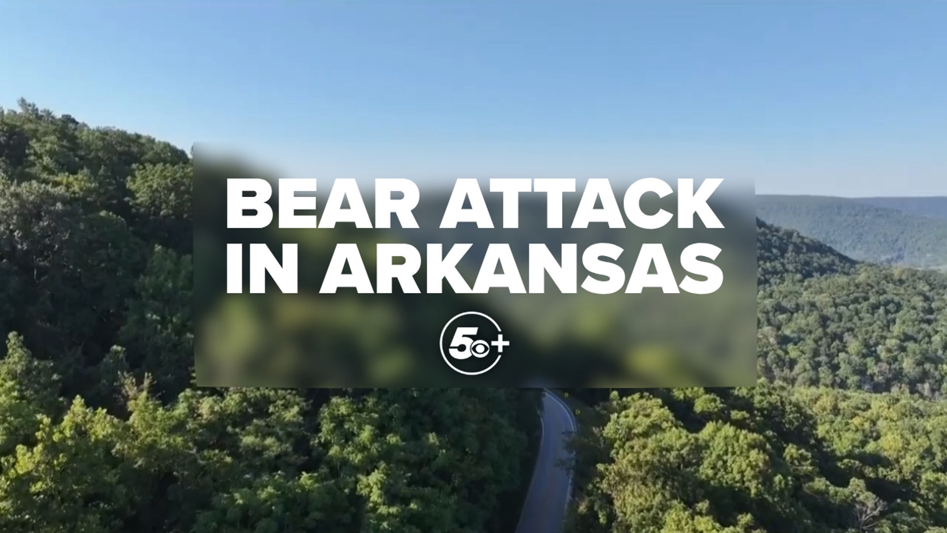 Full interview | Arkansas Game and Fish Commission discusses suspected ...