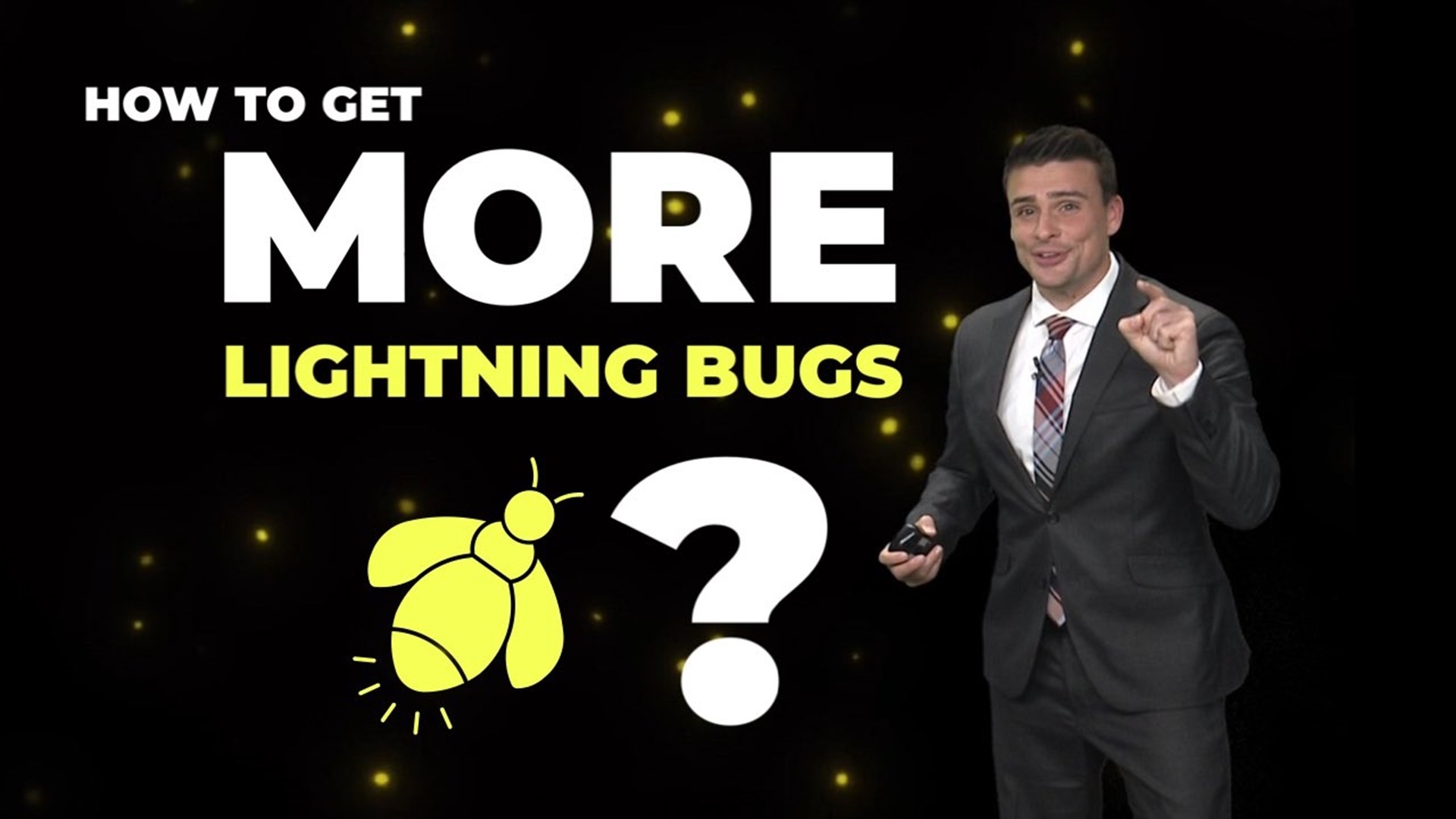 Many people are reporting fewer lightning bugs and fireflies in their backyards. There are some steps you can take to help bring more to your neighborhood.