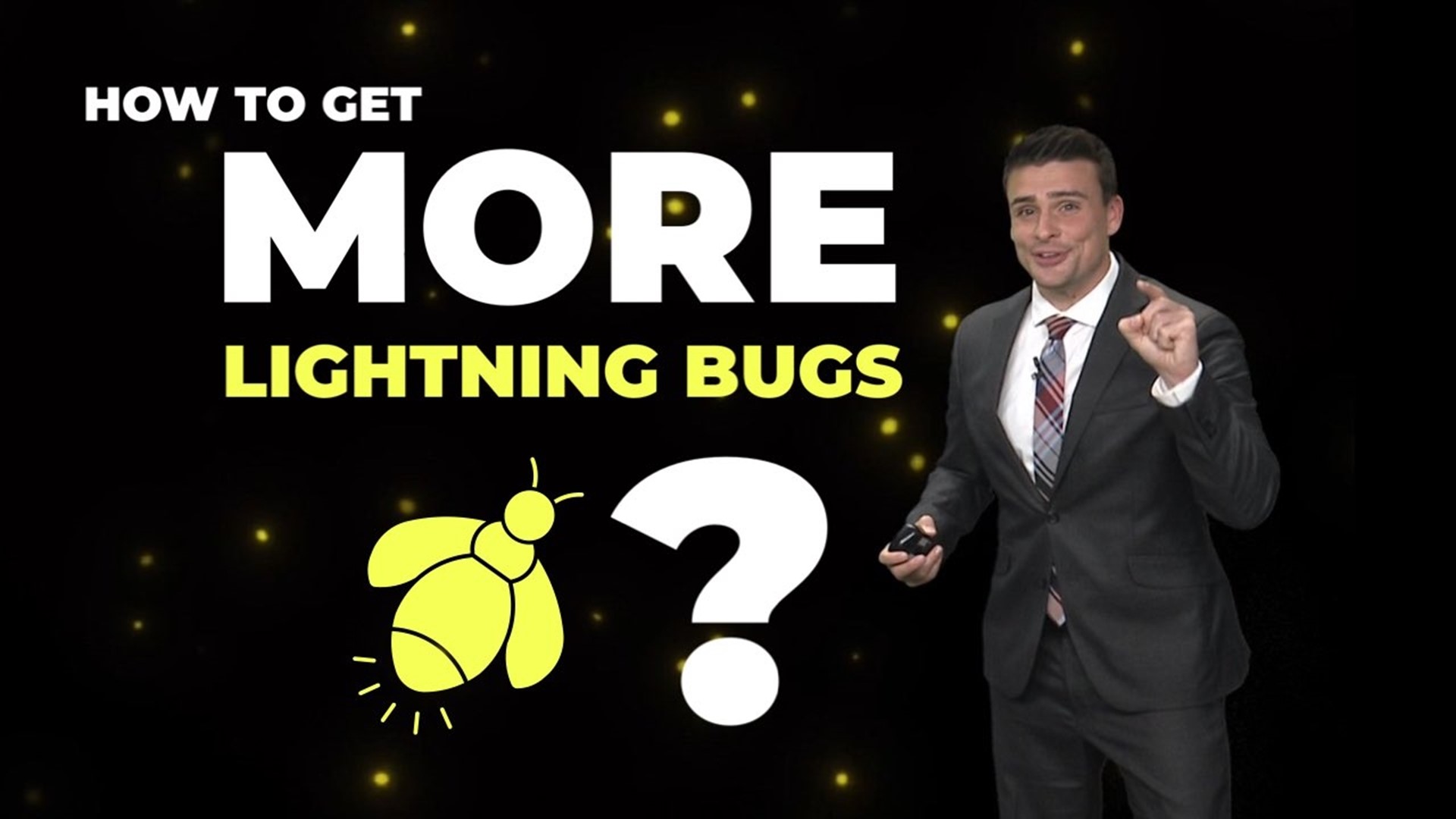 Have You Ever Seen Fireflies? streaming online