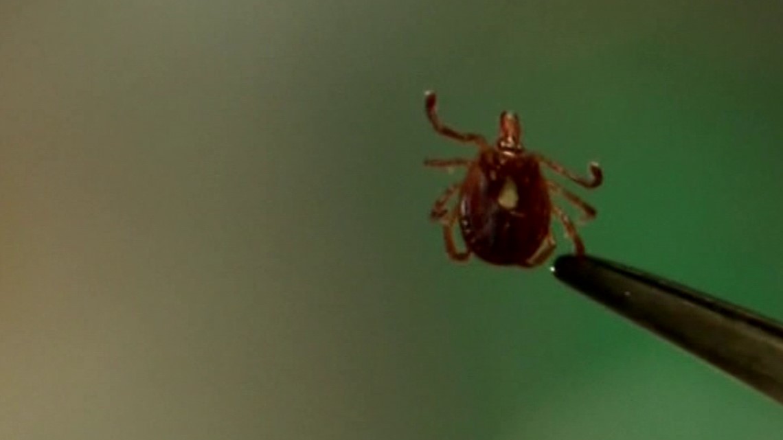 CDC is reporting an increase in tick-borne illenesses