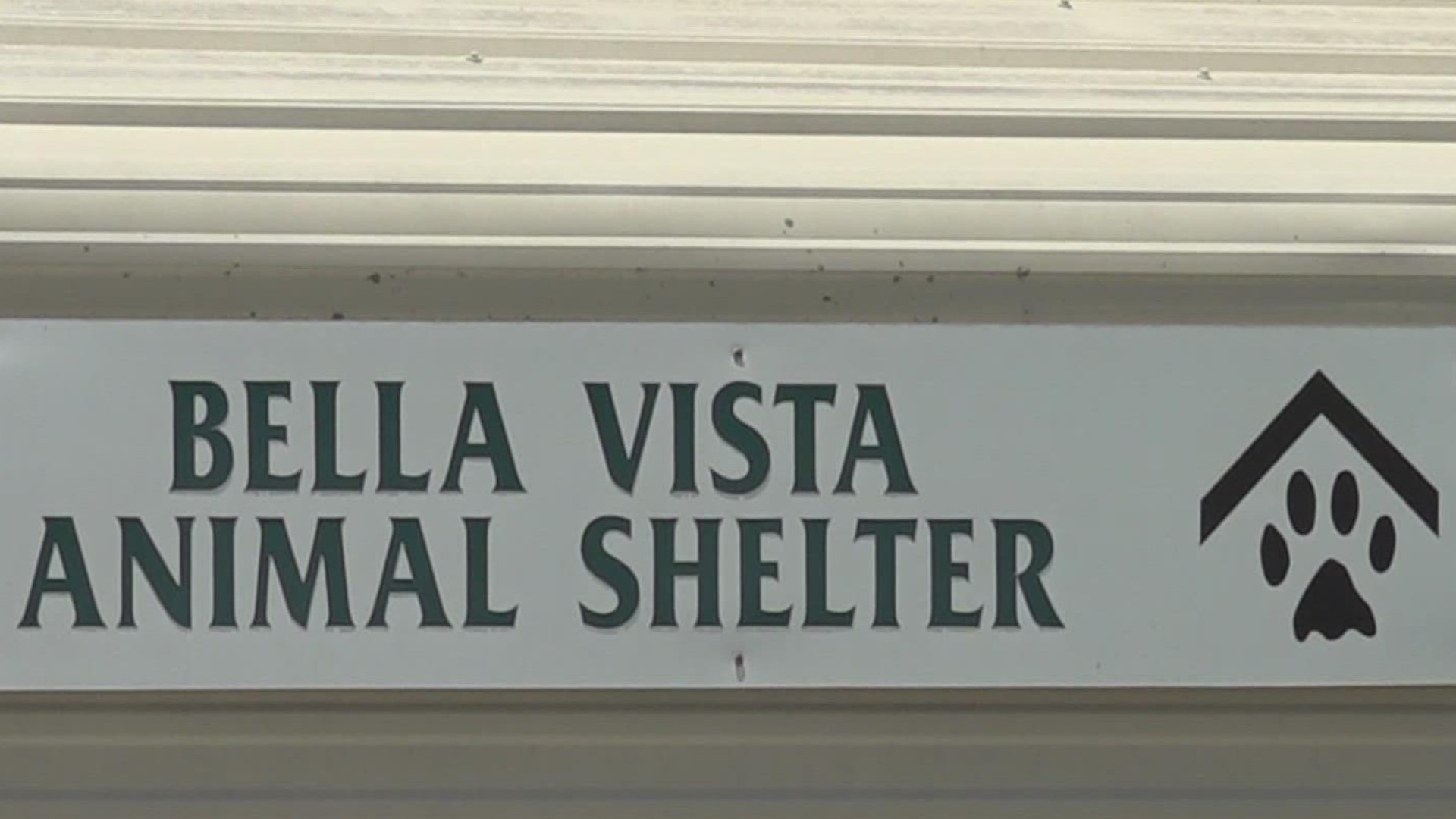 After the Fourth of July celebrations, local shelters are feeling the impact of lost animals during the summer holidays.