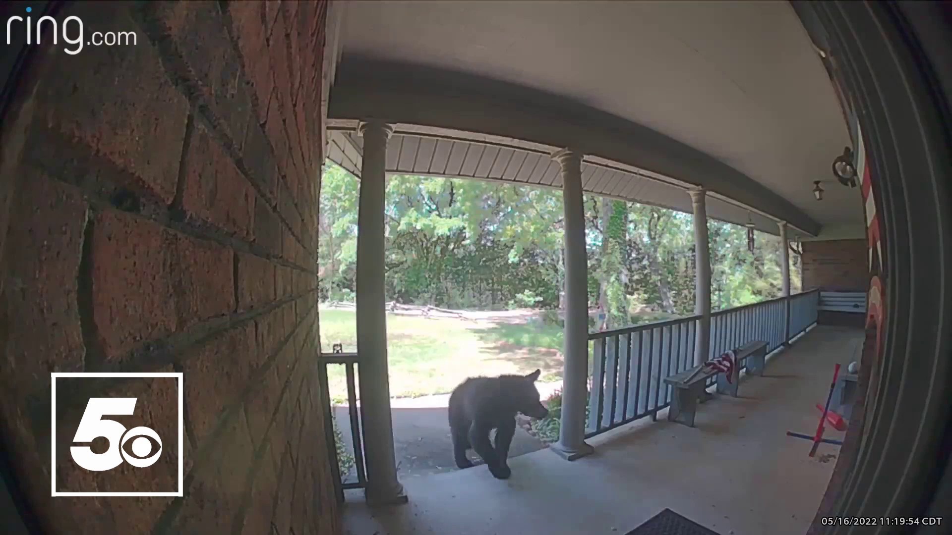 A Fort Smith homeowner captured the moment an apparent black bear stopped by their home.