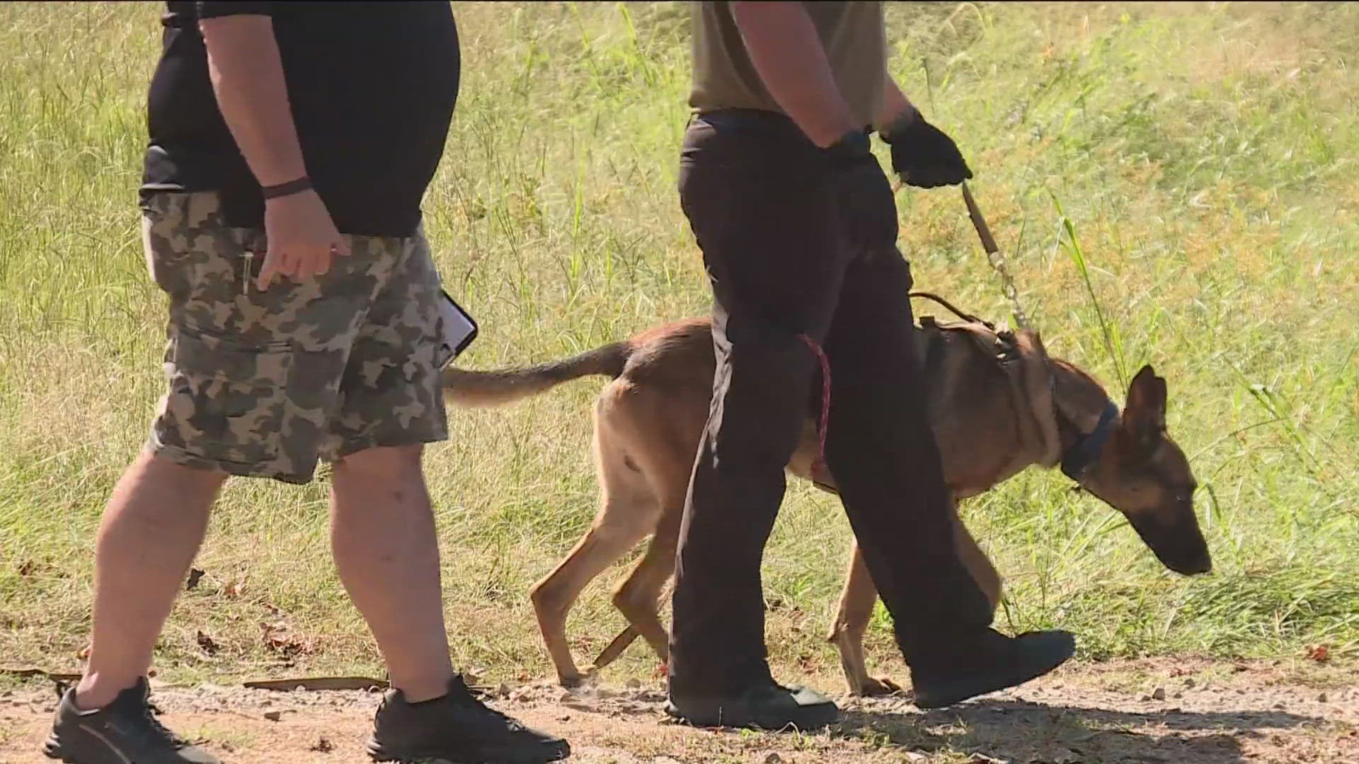 The dogs and their handlers will be working on a range of skills including patrol, tracking, narcotics detection, and locating human remains.