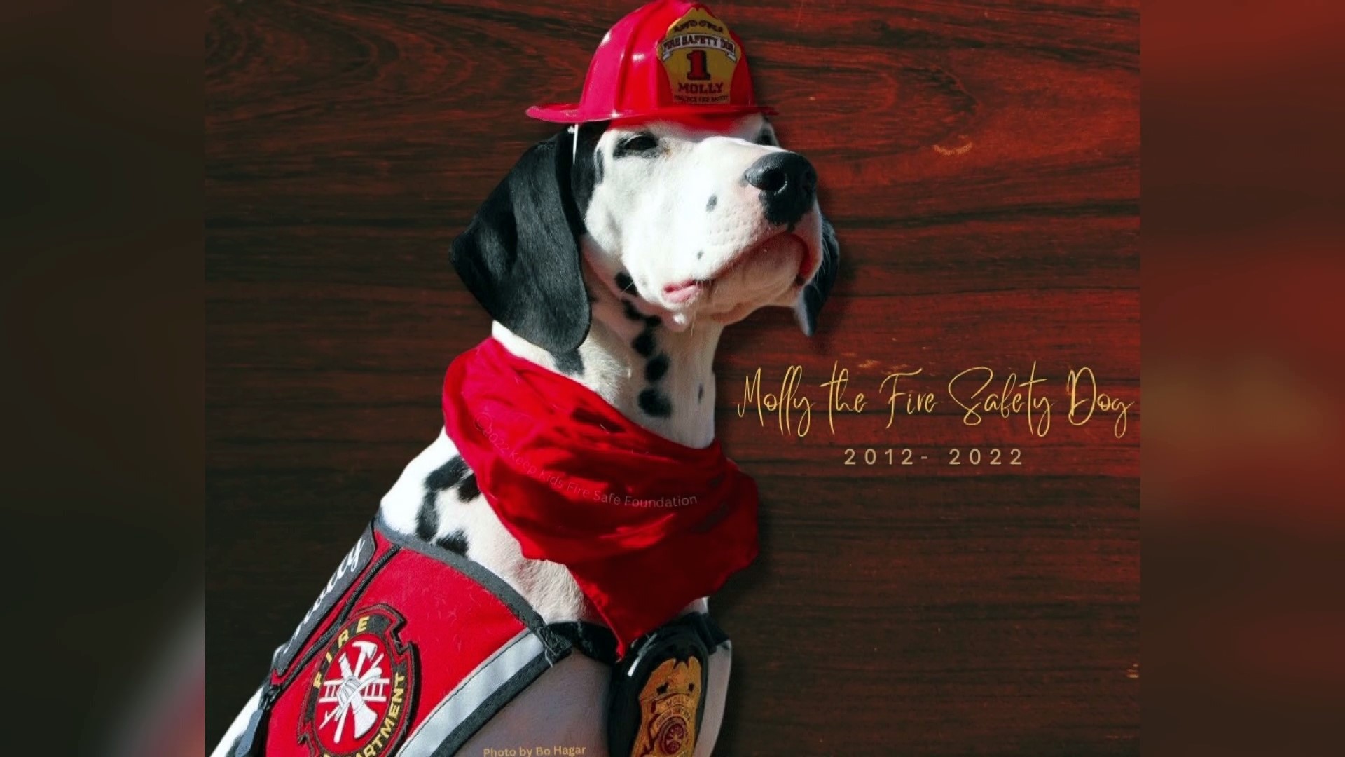 Molly taught thousands of children and adults the importance of fire safety for ten years before passing away Tuesday.