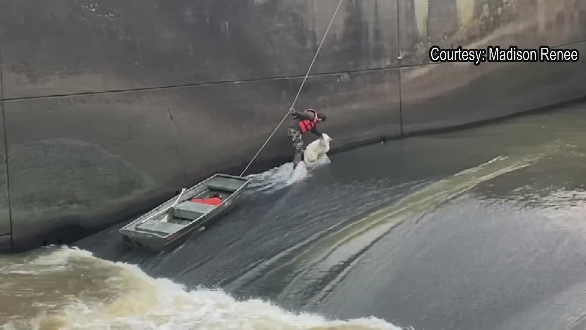 After seeing a Facebook post of a dog stuck in a Lake Wister Dam, Wister Fire Department members sprang into action and conducted a rescue saving the dog.