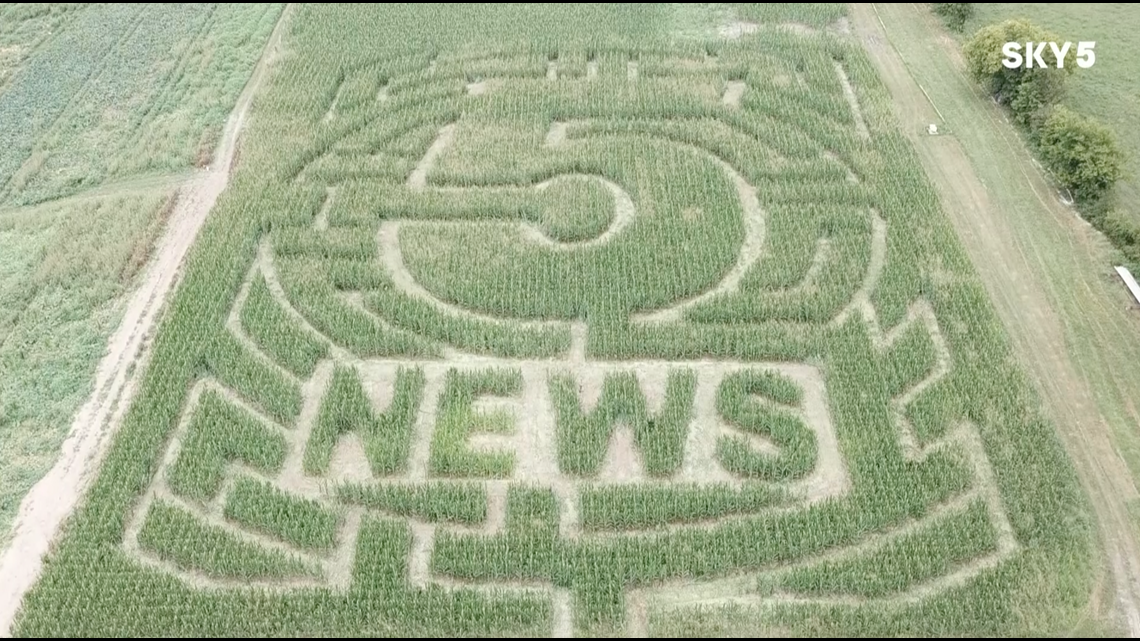 Adventure Arkansas: 5NEWS At Ozark Corn Maze | 5newsonline.com