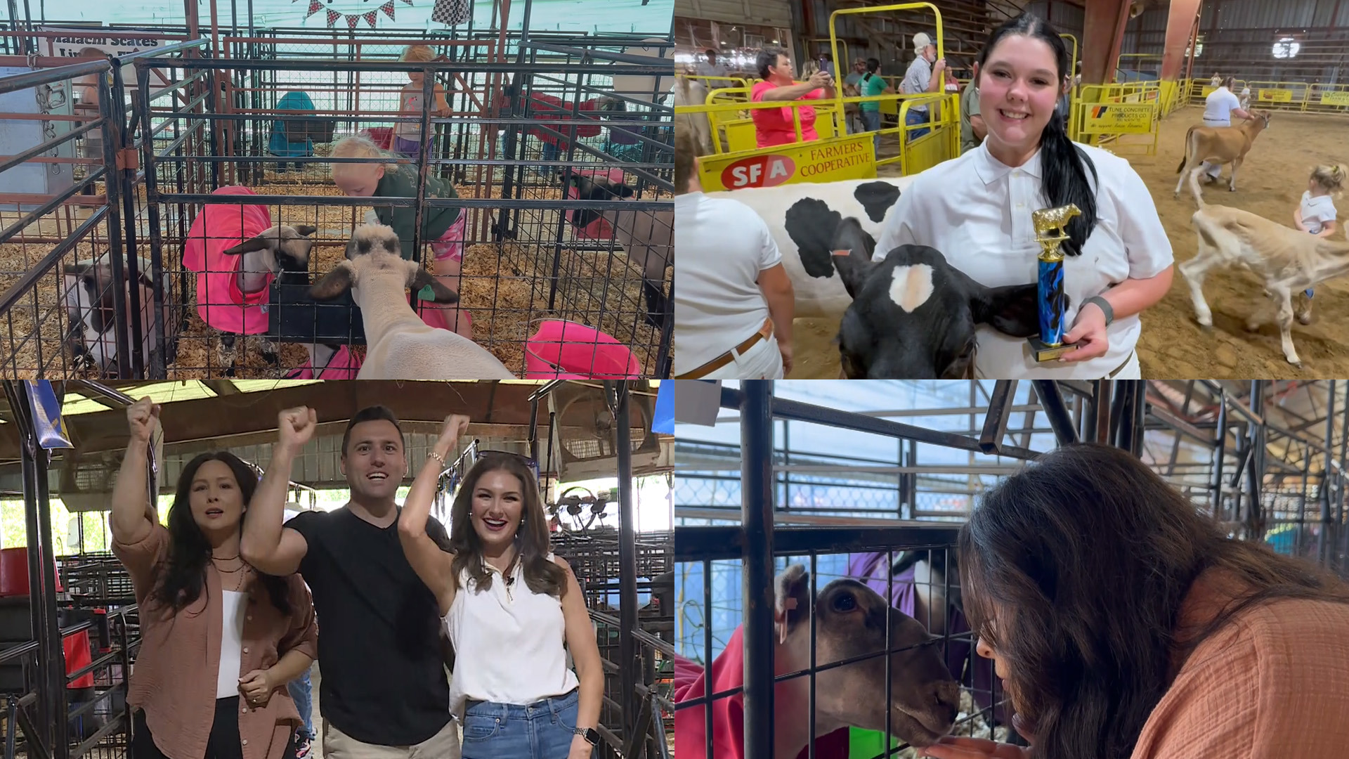 On this episode of Around the Corner, the 5NEWS morning crew toured the livestock barn and spoke with a couple of young Blue Ribbon winners.