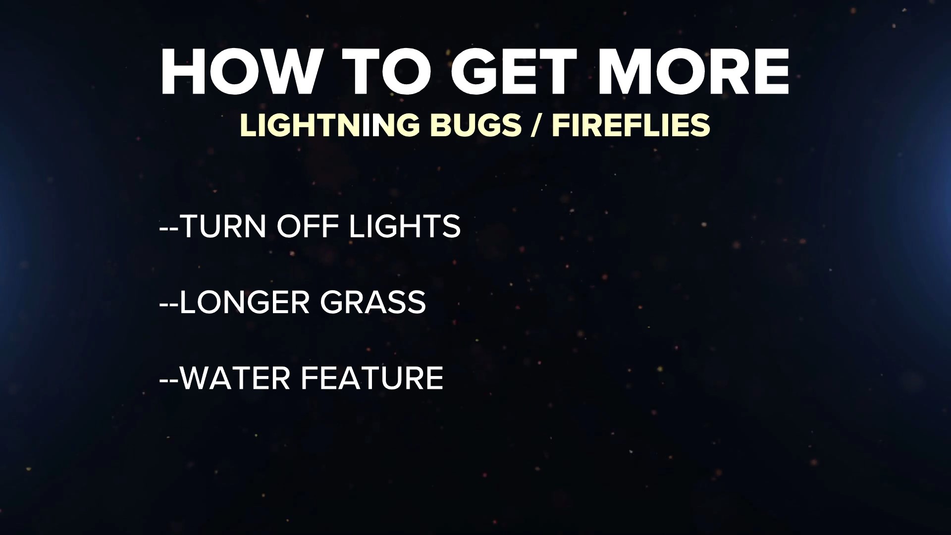 When is peak lightning bug and firefly season in the U.S
