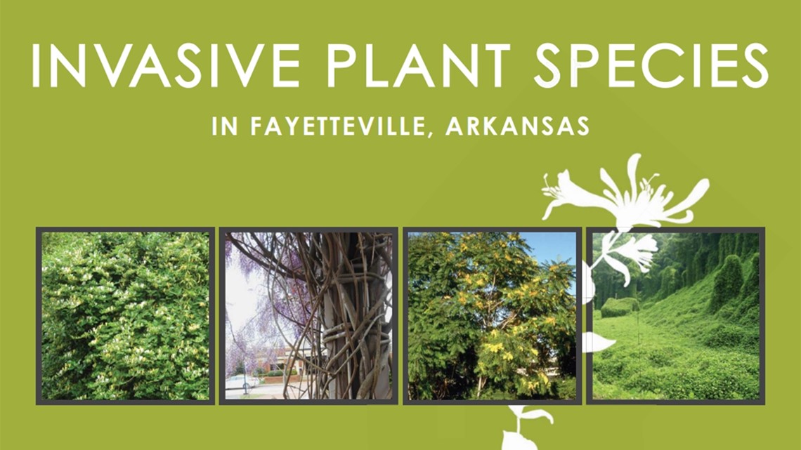 Fayetteville offers free trees, shrubs to replace invasive plants