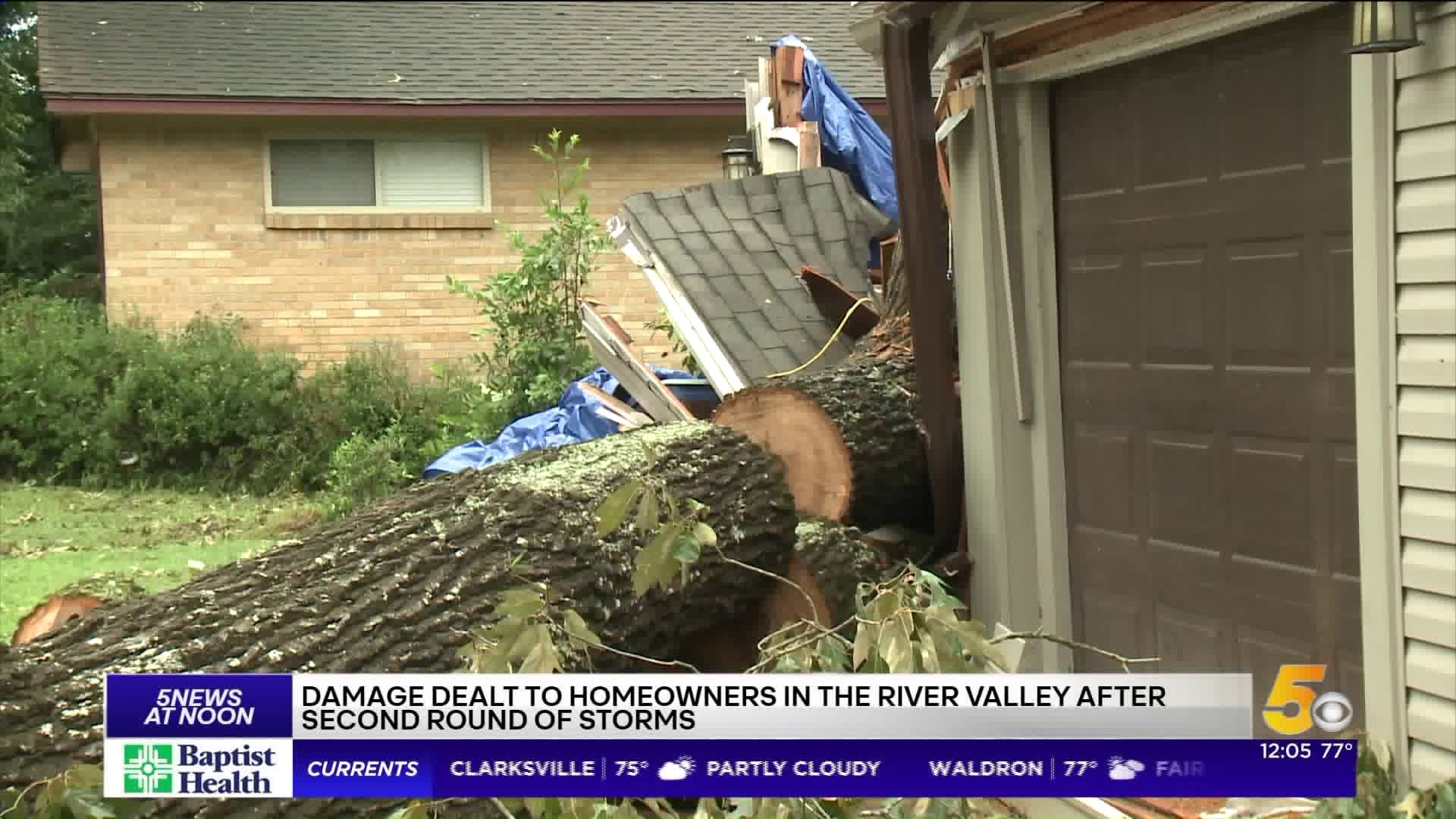 Second Tree Toppled By Storms