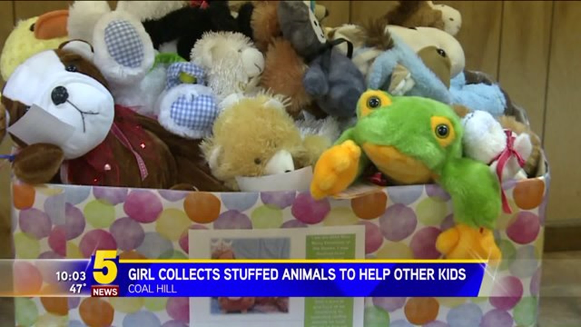 Girl Collects Toys For Other Kids