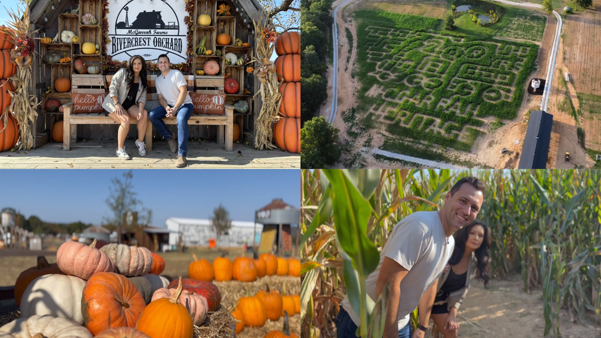 This year's maze theme celebrates the family's 200 years of farming.