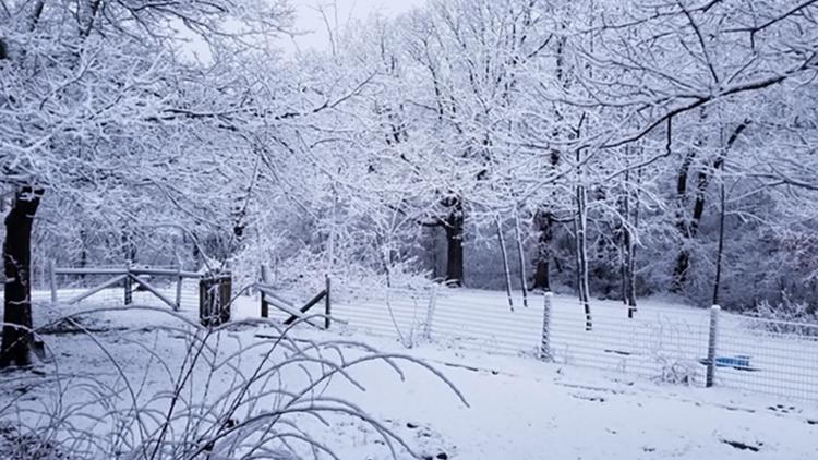 Jan 7 Snow In Northwest Arkansas The River Valley 5newsonline Com