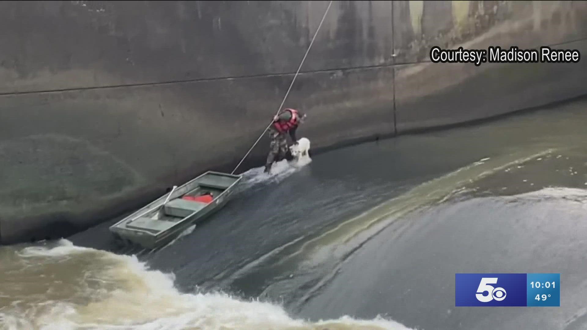 After seeing a Facebook post of a dog stuck in a Lake Wister Dam, Wister Fire Department members sprang into action and conducted a rescue.