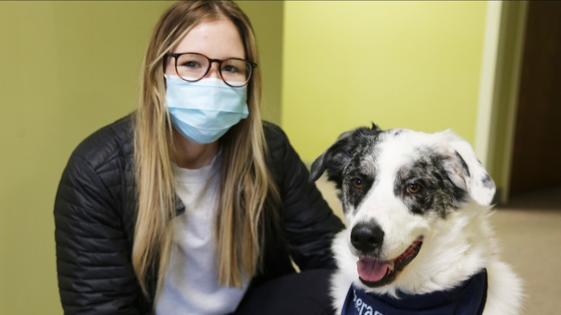 Mercy gets new volunteers fort Therapy Dog Program - Vimarsana News