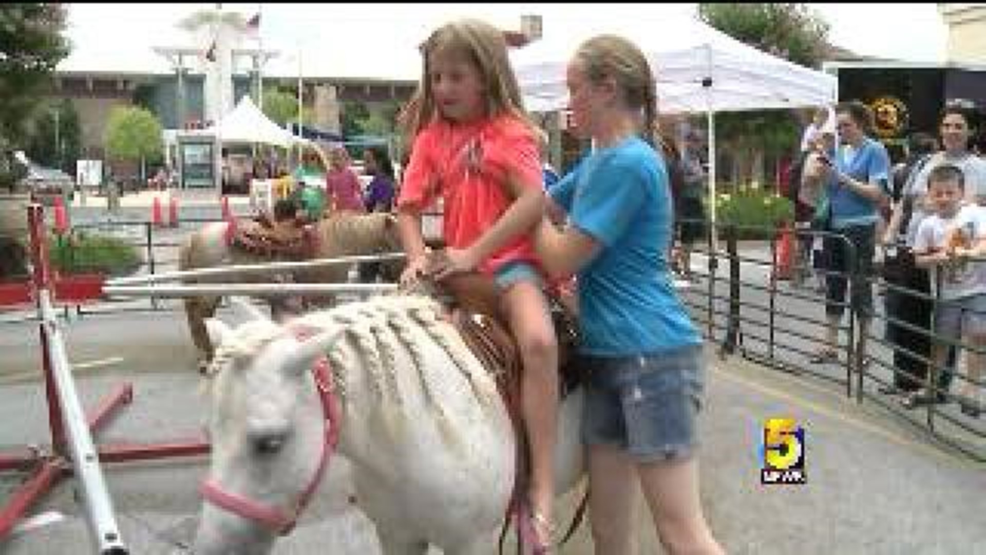 Military Families Enjoy Freedom Fest In Rogers