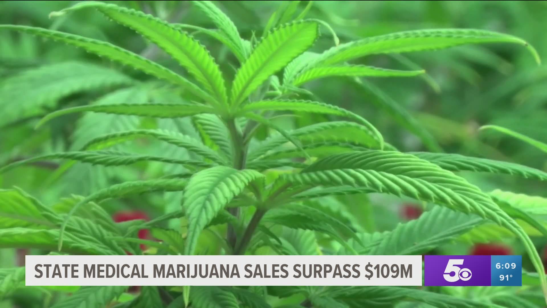 State medical marijuana sales surpass $9 million