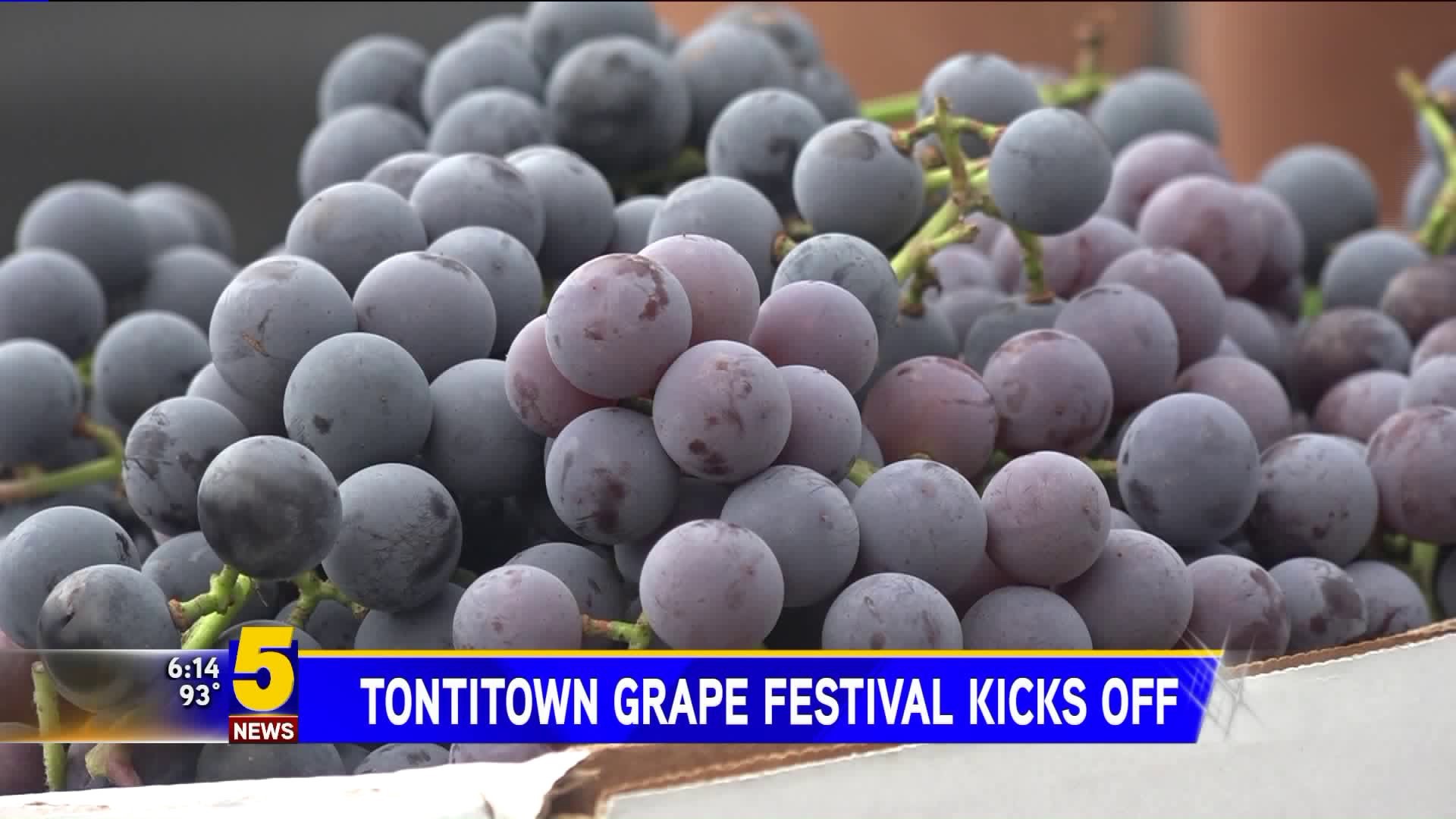 120th Tontitown Grape Festival Underway