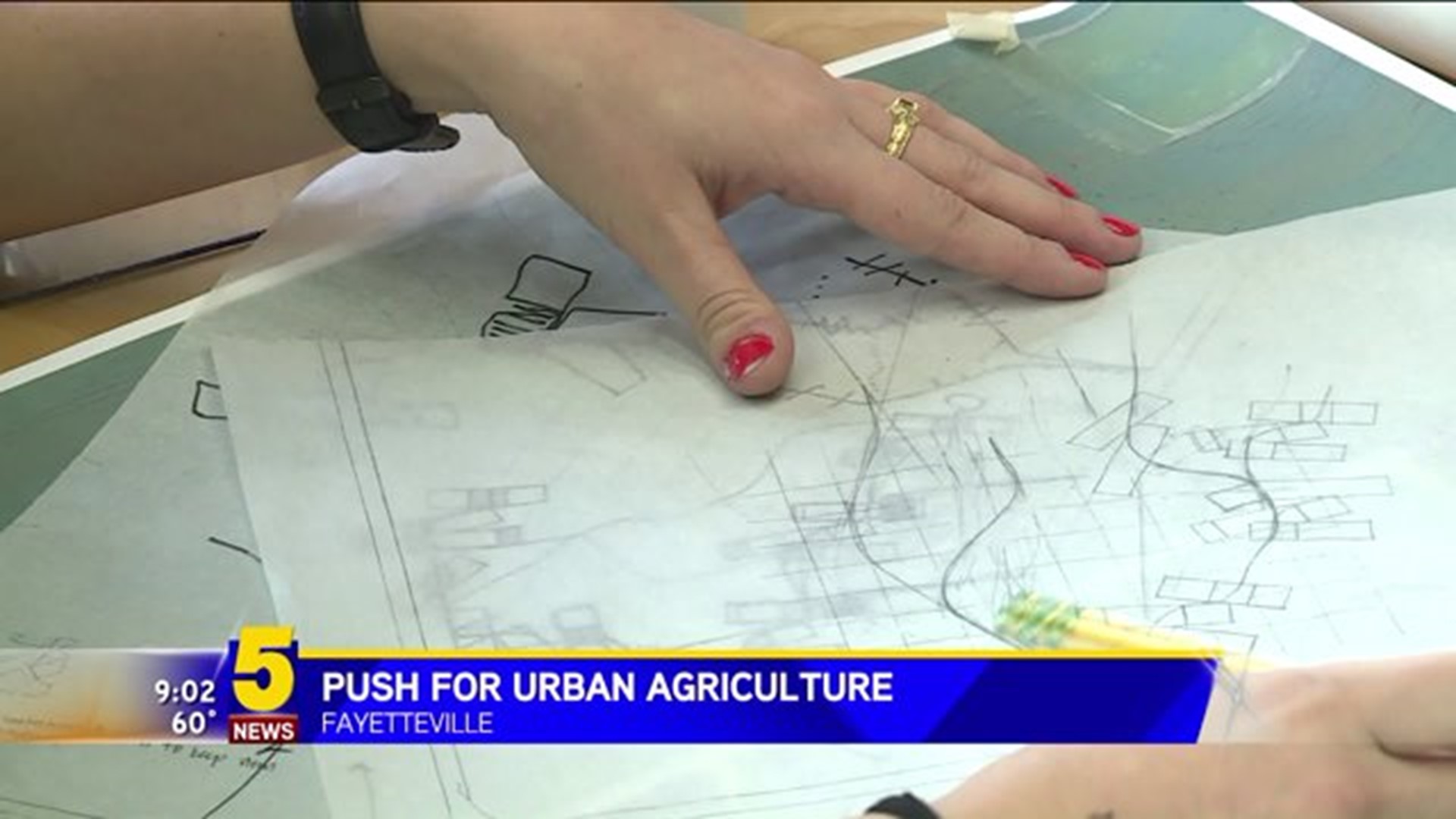 Urban Agriculture Plan