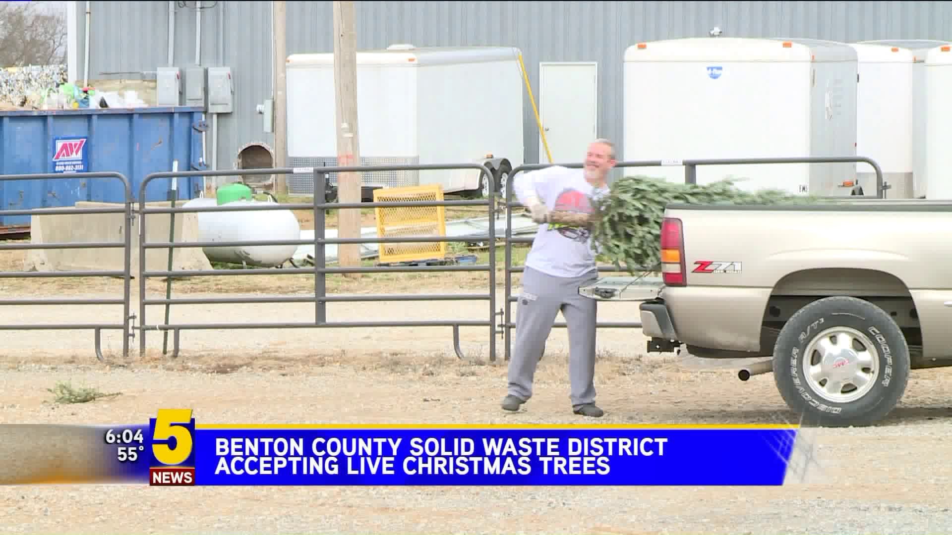 Benton County Solid Waste District Accepting Live Christmas Trees