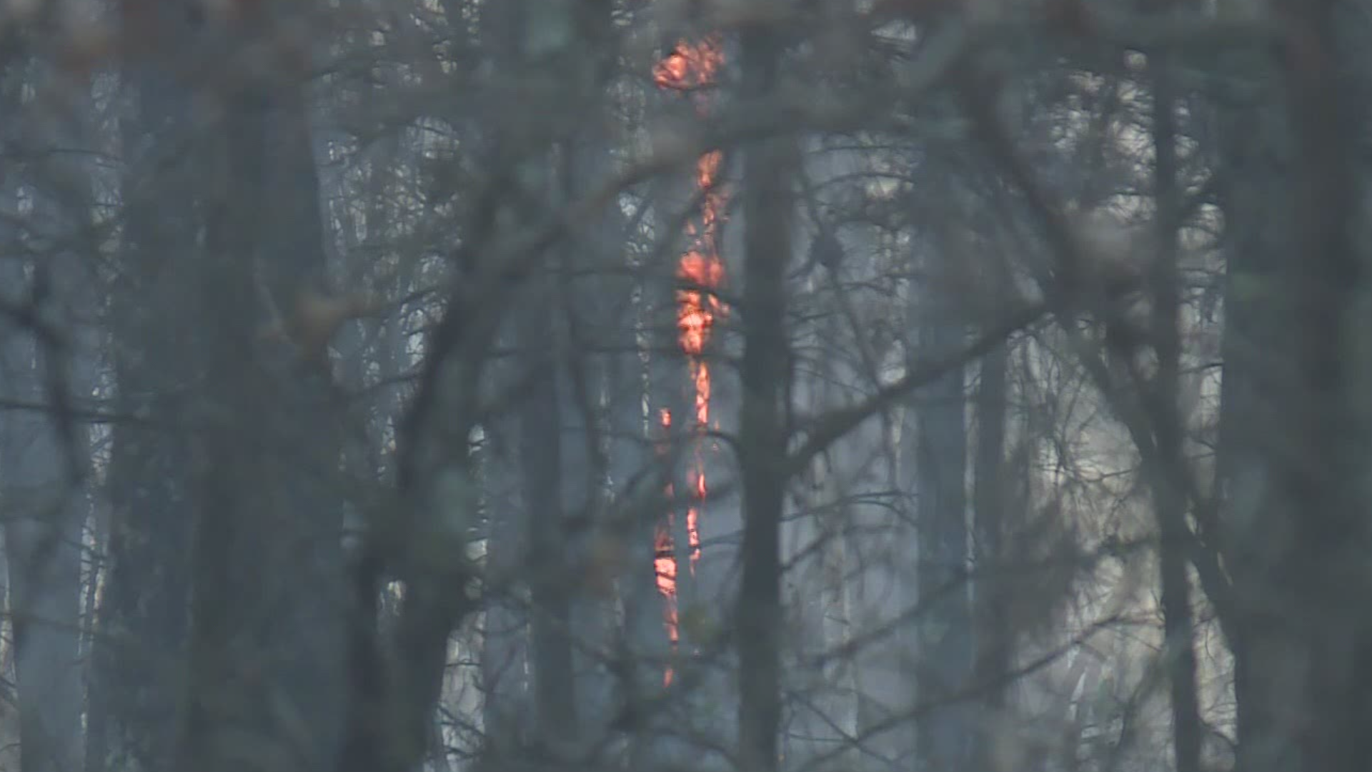 Wildfire burns 185 acres near Mountainburg
