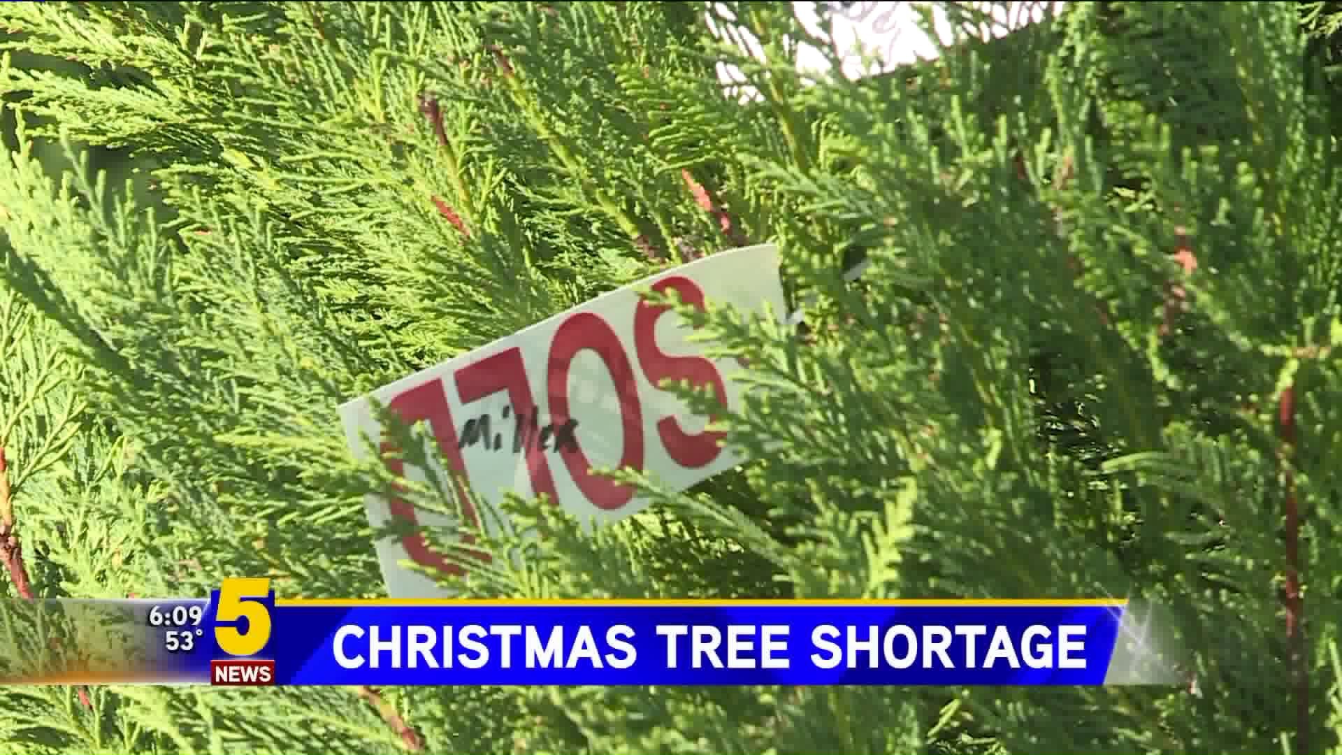 National Christmas Tree Shortage Impacts Some Local Tree Farms