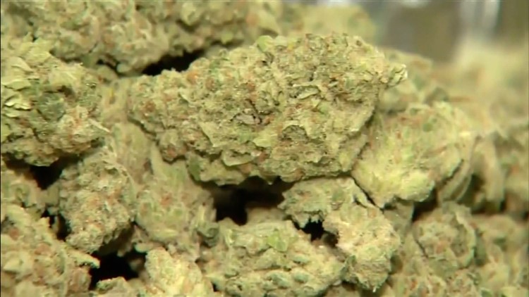 Arkansas voters will see recreational marijuana on November ballot