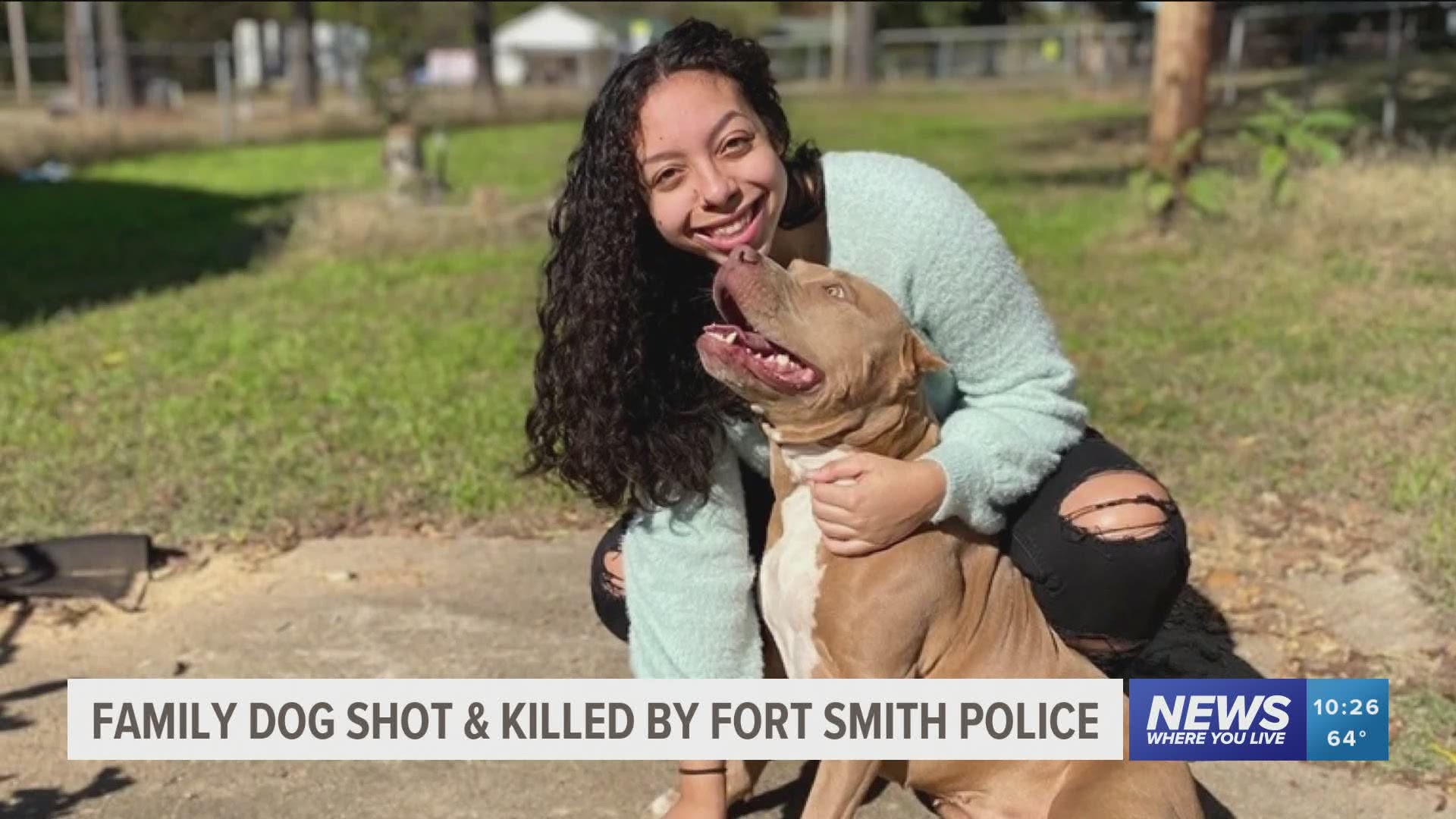 Fort Smith Police were in a backyard when three-year-old dog Echo was shot by police. https://bit.ly/34iPFYM