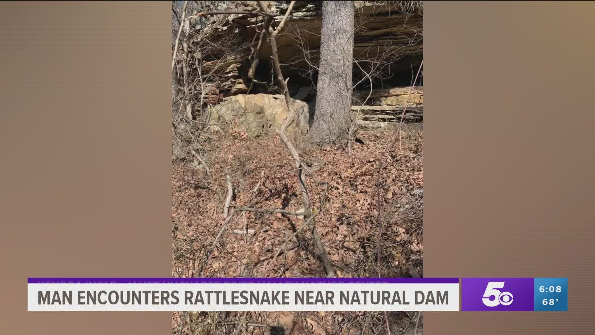 Warmer weather is here and that means snakes are out of hibernation, so people are cautioned to watch out for them. https://bit.ly/3tbp3SF