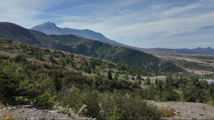 The other side of Mount St. Helens: Exploring the blast zone at Windy Ridge
